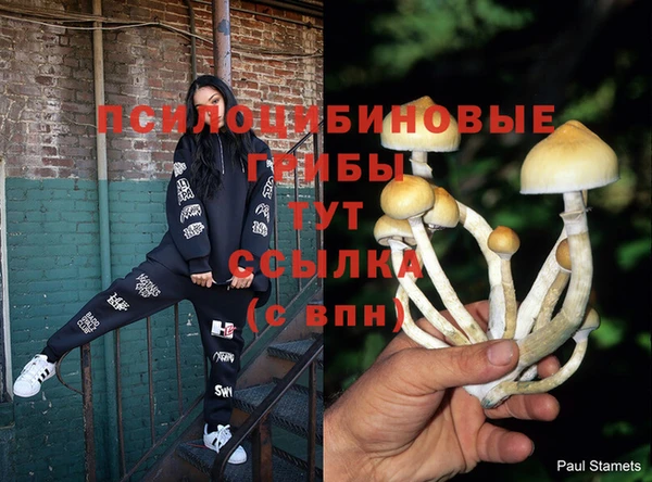 соль курить ск Абинск