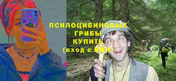 шишки Абдулино