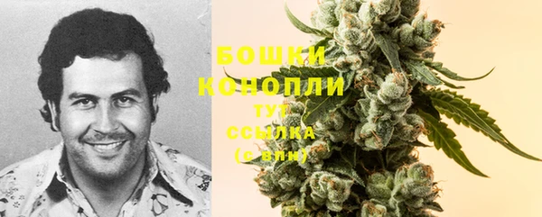 шишки Абдулино