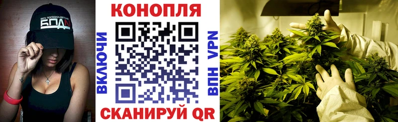 Канабис семена  Абинск 